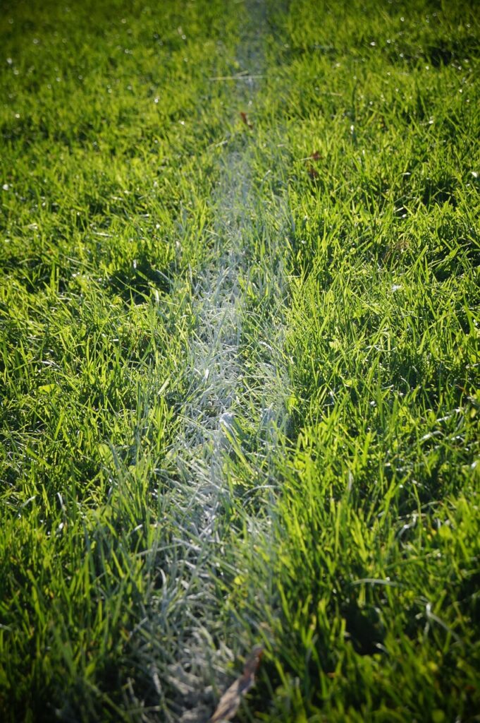 court, nature, court lines, grass